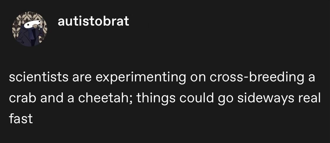 a tumblr post from autistobrat that says “scientists are experimenting on cross-breeding a crab and a cheetah; things could go sideways real fast”