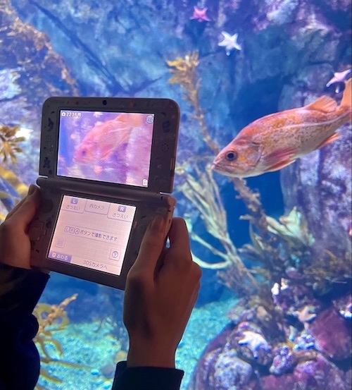someone using their Nintendo 3DS XL at an aquarium, taking a photo of a fish